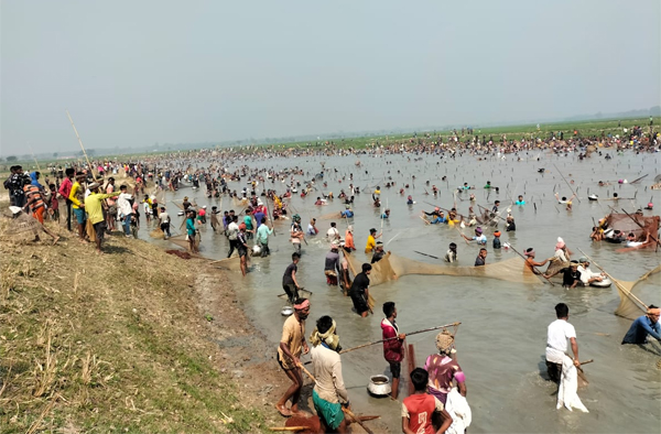 সুনামগঞ্জে আট জলমহালের ১০ কোটি টাকার মাছ লুটপাট